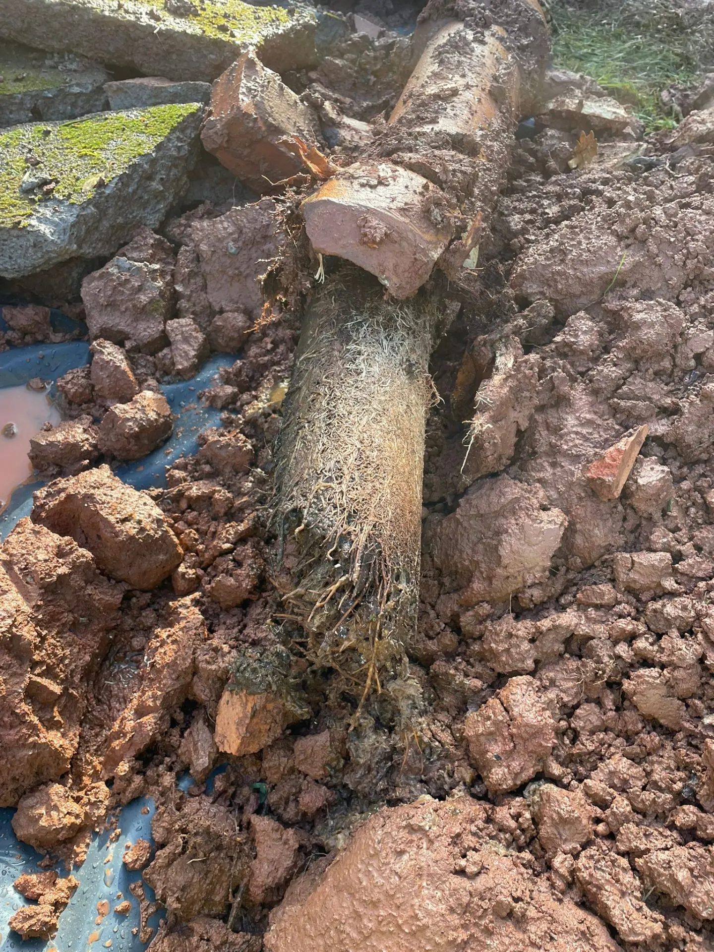 Old broken pipe section pulled from trench